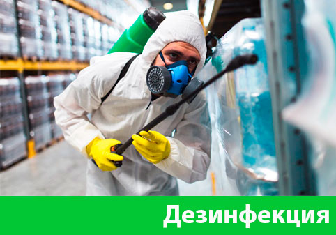 Дезинфекция в городе Клинцы