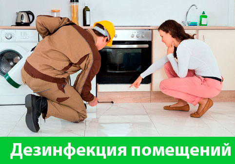 Дезинфекция офисов от коронавируса в городе Клинцы