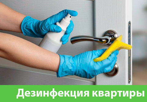 Дезинфекция квартиры в городе Клинцы