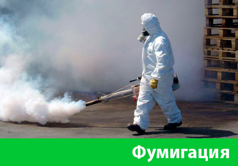 Фумигация в городе Клинцы