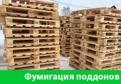 Фумигация поддонов в городе Клинцы