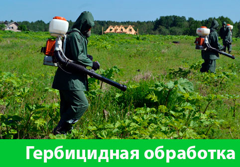 Гербицидная обработка в городе Клинцы