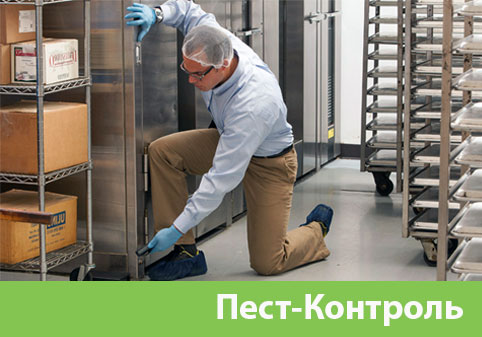 Пэст-Контроль в городе Клинцы
