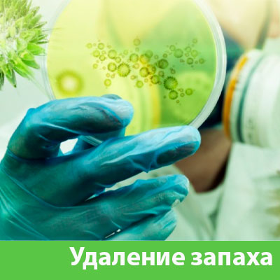 Удаление запахов в Клинцах