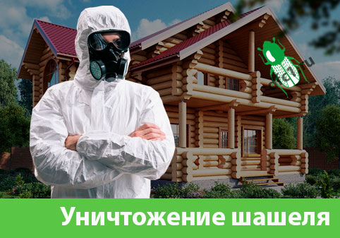 Уничтожение шашеля и личинок в Клинцах