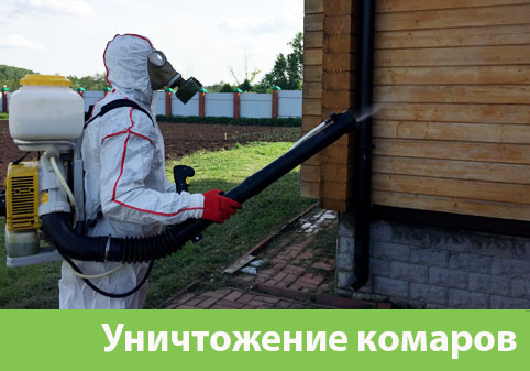 Уничтожение комаров в городе Клинцы