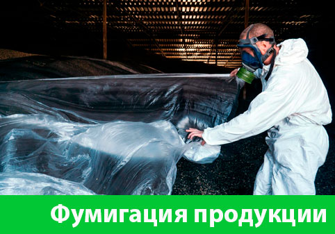 Фумигация продукции в городе Клинцы